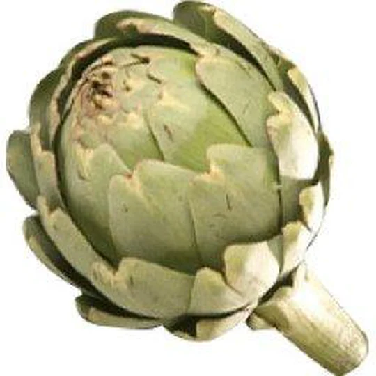 Artichaut BLANC