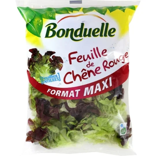 Salade feuille de chêne rouge