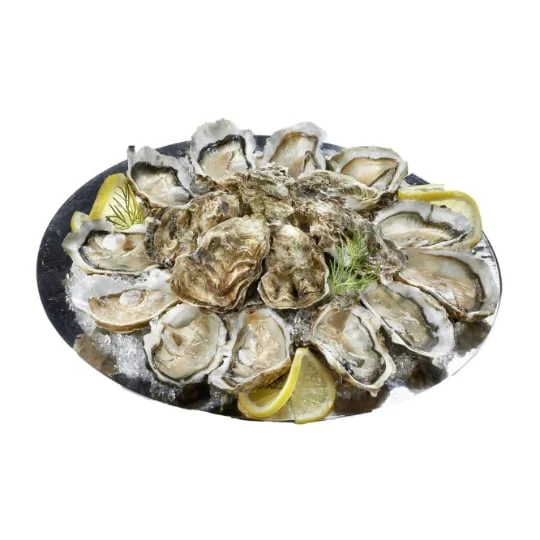 Huîtres creuses de Bretagne N°3