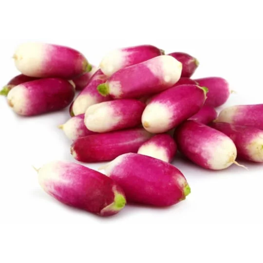 Radis roses équeutés