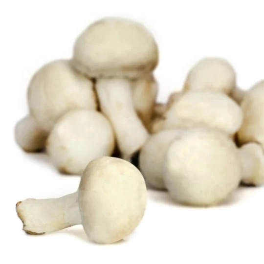 Champignons blanc