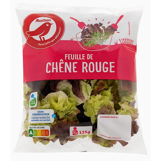 Feuille de chêne rouge