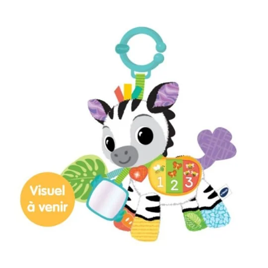 Timéo ptit zèbre d'activités