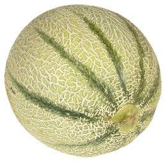 Melon charentais