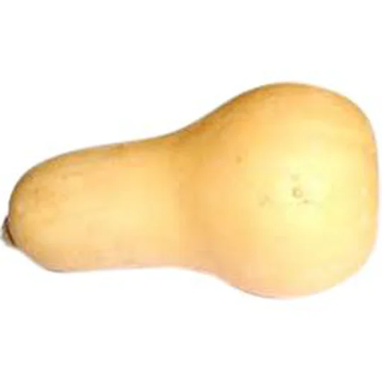 Courge BUTTERNUT