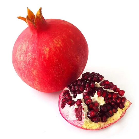 Grenade cat I - 1 pièce