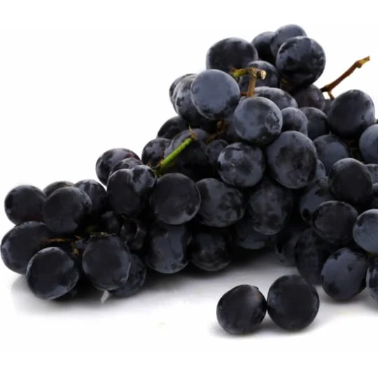 Raisins noirs Ripol Bio