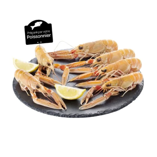 Langoustine cuite 16/20