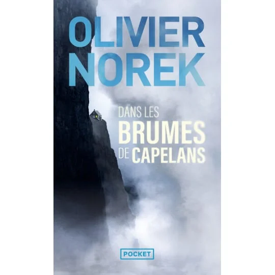 Livre Dans les brumes de Capelans - Olivier Norek