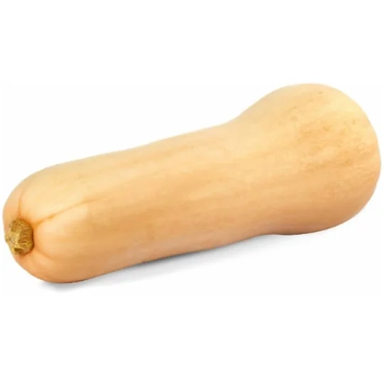 Butternut