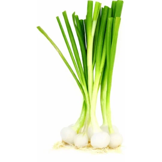 Oignons blancs botte