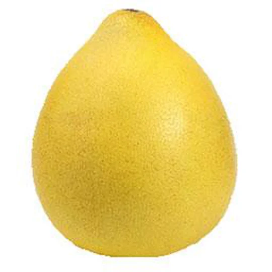 Pomelo CHINOIS - EXOTIQUE