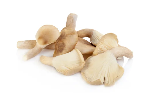 Champignons Pleurotes