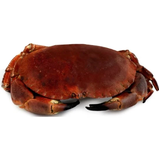 Tourteau cuit 400/600