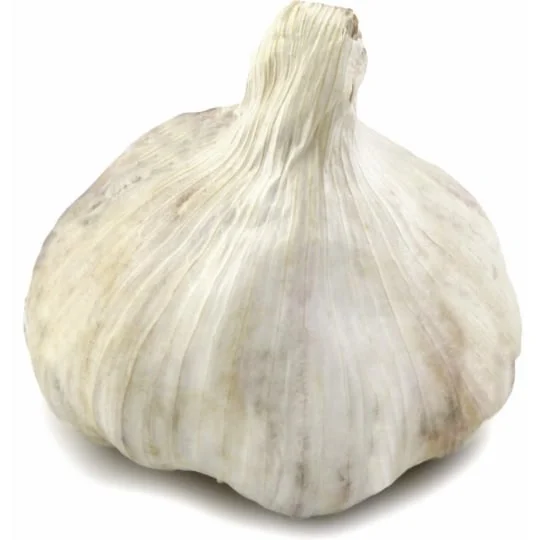 Ail noir 2 Têtes Bio