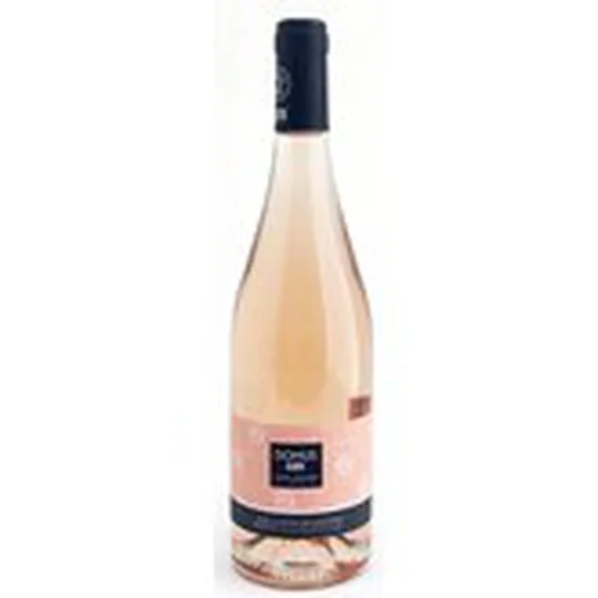 Vin Côtes de Gascogne rosé Domus IGP