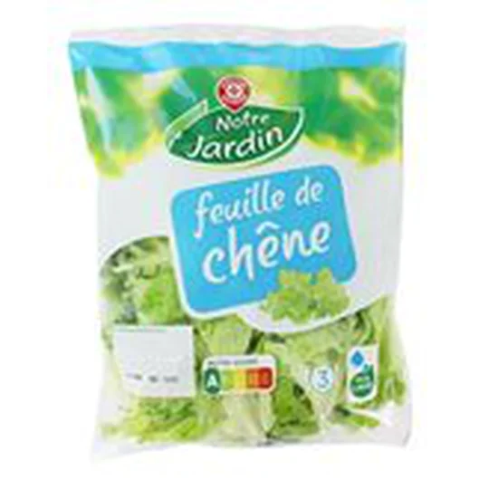 Salade Feuille de chêne