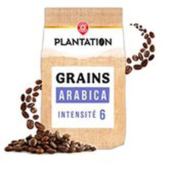 Café en grain Plantation Pur arabica