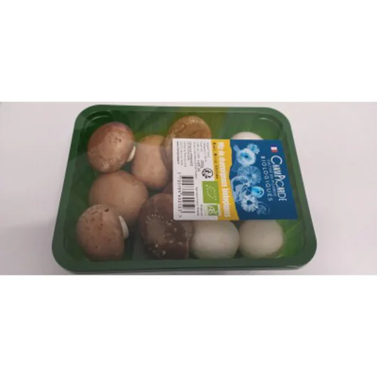 CHAMPIGNON MIX Bio