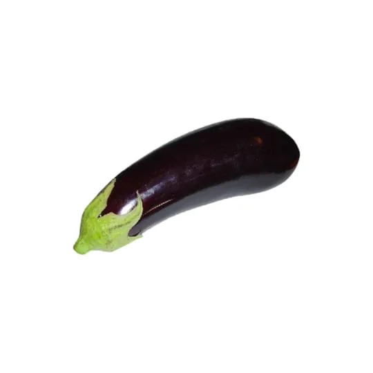 Aubergine Bio