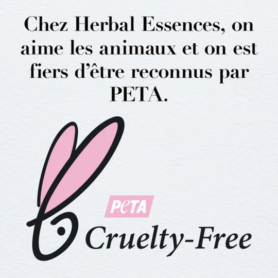 Huile Noix De Coco Et Aloe