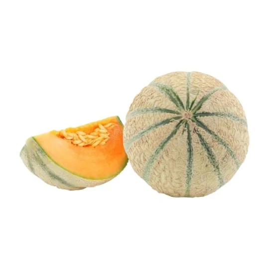 Melon gros calibre