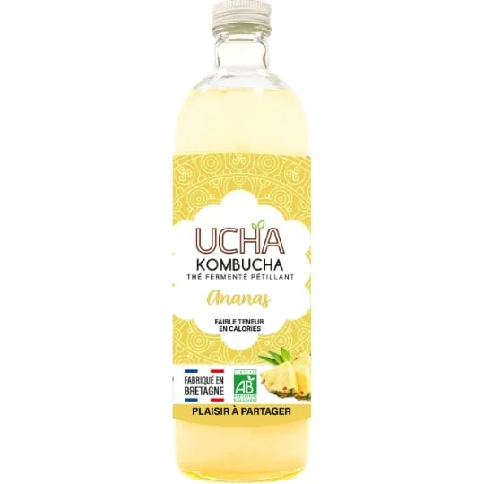 Kombucha Thé Fermenté Pétillant à l'Ananas Bio