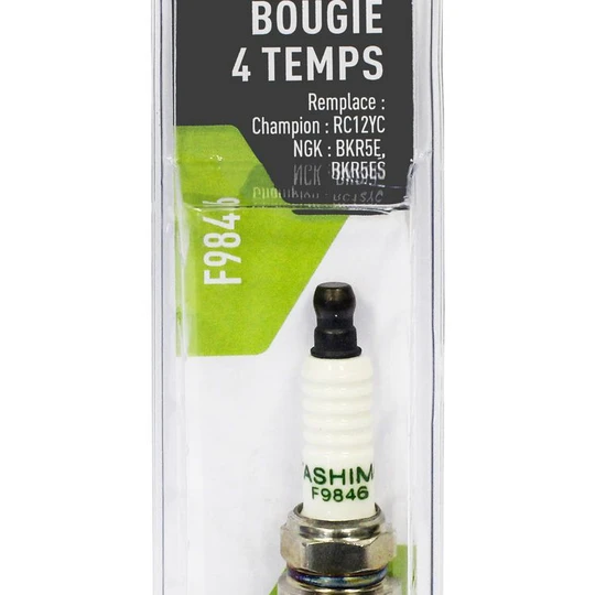 Bougie allumage pour moteur autoporté OHV Briggs & Stratton