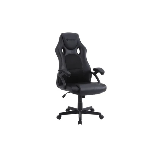 Siège Gamer Azgenon Z70