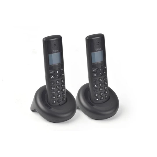 Téléphone sans fil DUO Q4901 - Noir