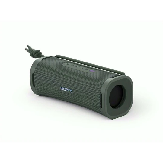 Enceinte portable sans fil Bluetooth ULT Field 1 - Gris forêt