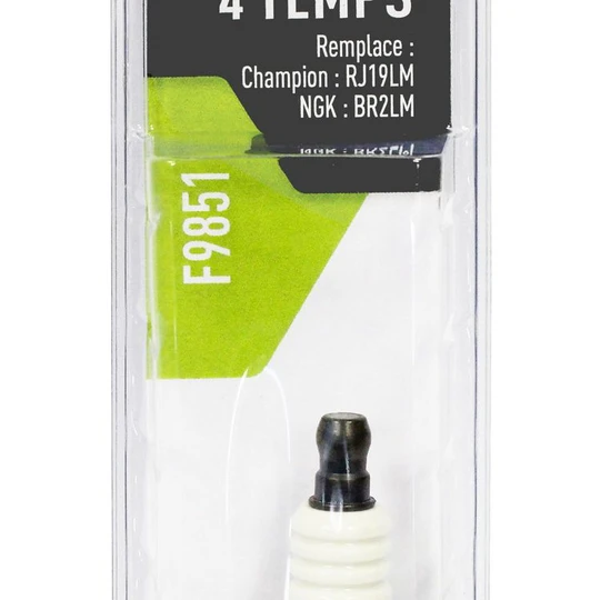 Bougie d'allumage pour moteur Briggs