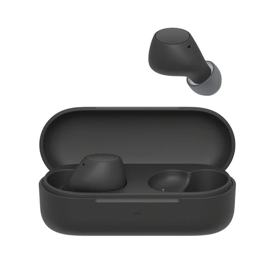 Écouteurs WF C510 - Noir
