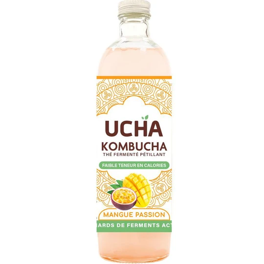Kombucha Thé fermenté pétillant à la mangue passion bio
