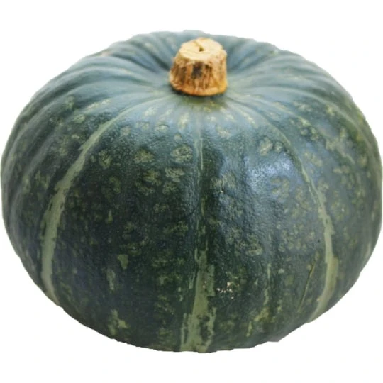 Courge Buttercup Bio