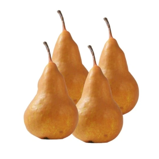 Poire Selena Bio