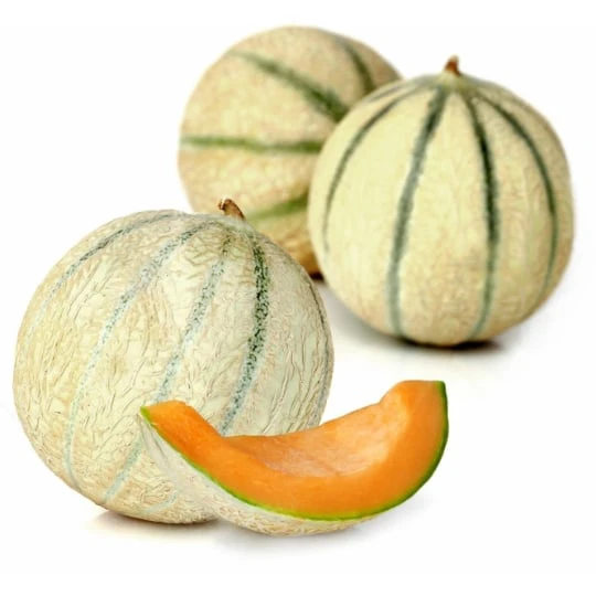 Melon baby
