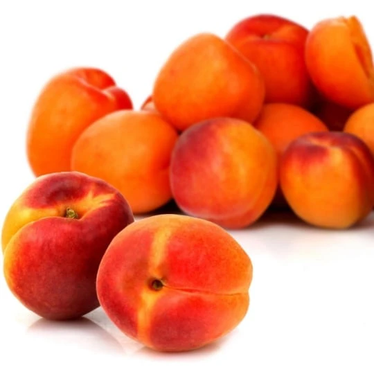 Abricots
