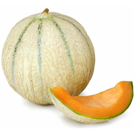 Melon charentais Bio