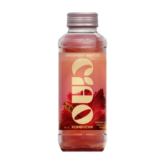 Kombucha Saveur Gingembre Hibiscus