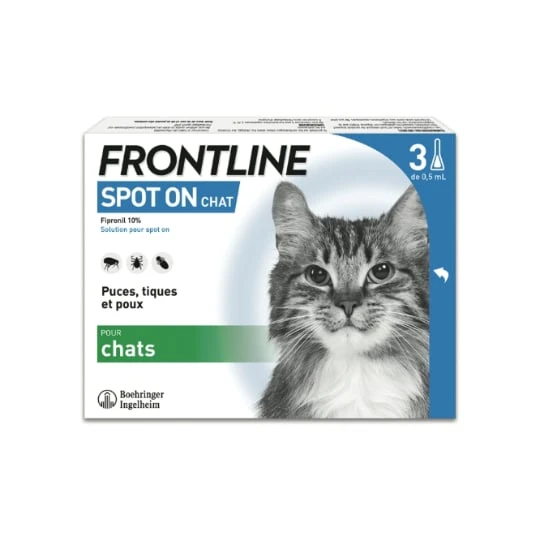 Traitement pour chats