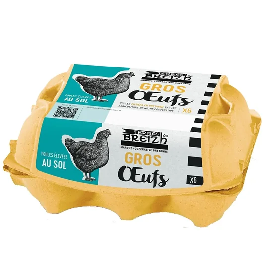 Œufs Gros de Poules Elevées au Sol