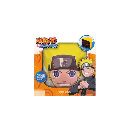 Gateau de Fete Naruto