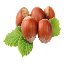 Noisettes vrac Bio (500g)