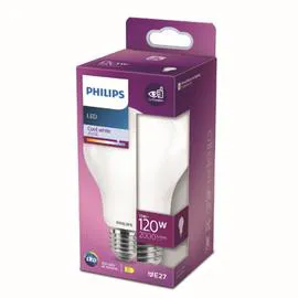 Ampoule LED E27 Standard Blanc-froid 120W x1 (l'unité)
