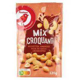 Mix croquant noisettes, amandes, noix de cajou, cacahuètes (120g)