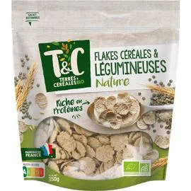 TERRES & CÉRÉALES BIO Céréales pétales de seigle et farine de lentilles Bio 350g