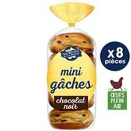 NOS RÉGIONS ONT DU TALENT Mini gâches au chocolat 360g