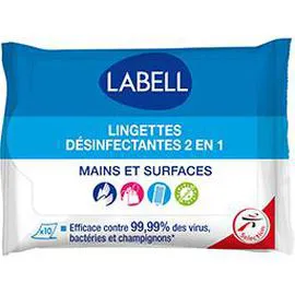 Lingettes désinfectantes 2 en 1 mains & surfaces (x10 )