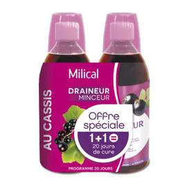 Complément alimentaire draineur cassis (2x500ml)
